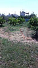Οικόπεδο 2.000 τ.μ. για πώληση, Κορινθία, Βόχα-thumb-2