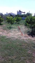 Οικόπεδο 2.000 τ.μ. για πώληση, Κορινθία, Βόχα-thumb-3