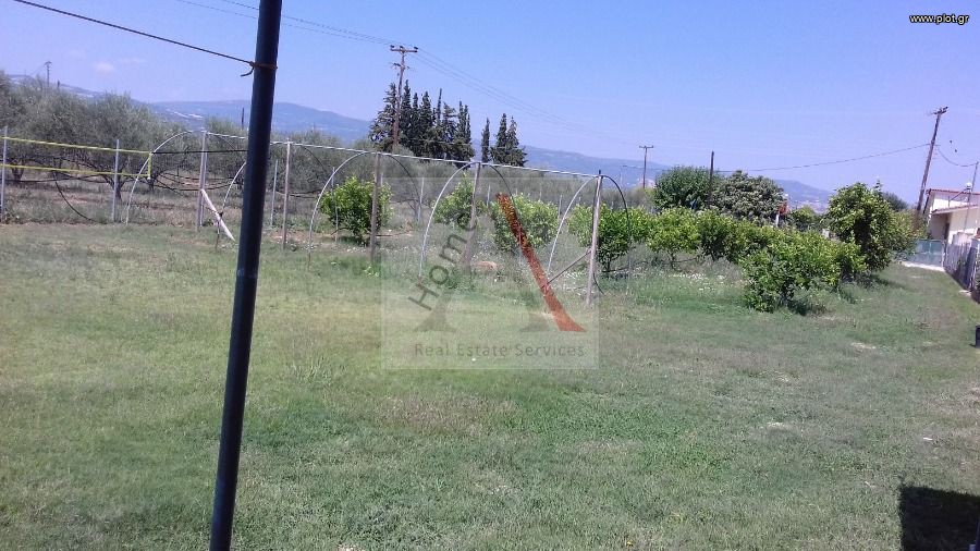 Land plot 2.000 sqm for sale, Vochaiko