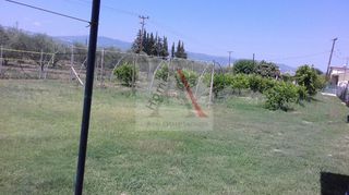 Οικόπεδο 2.000 τ.μ. για πώληση, Κορινθία, Βόχα-thumb-4