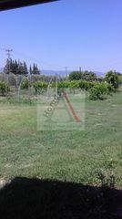 Οικόπεδο 2.000 τ.μ. για πώληση, Κορινθία, Βόχα-thumb-6