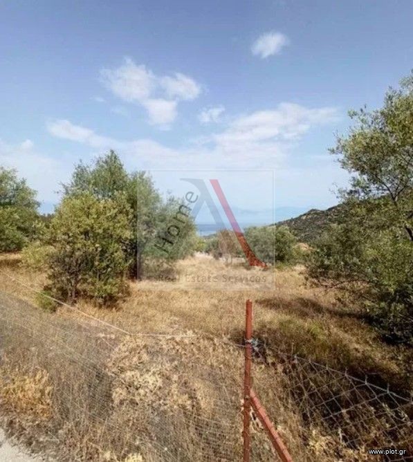 Οικόπεδο 930 τ.μ. προς πώληση, Σαραντάπηχο
