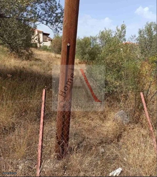 Οικόπεδο 930 τ.μ. προς πώληση, Σαραντάπηχο