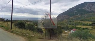Οικόπεδο 1.050 τ.μ. για πώληση