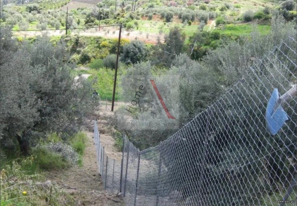 Οικόπεδο 1.050 τ.μ. προς πώληση, Άνω Λουτρό