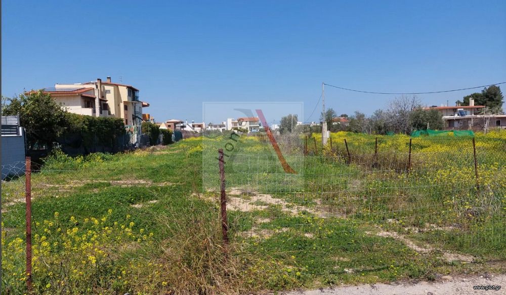 Οικόπεδο 1.128 τ.μ. προς πώληση, Φάρος Αυλίδας