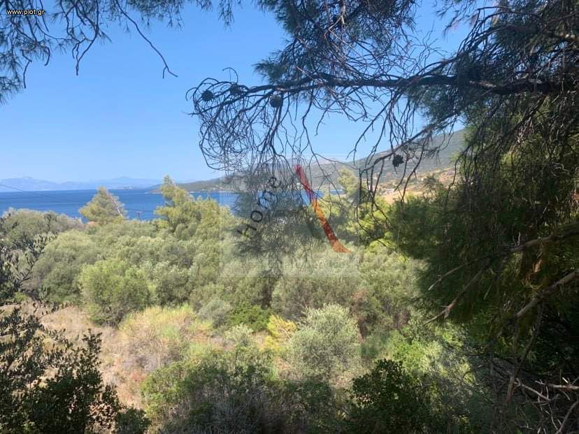 Οικόπεδο 512 τ.μ. προς πώληση, Άγιος Κωνσταντίνος Μαρμαρίου
