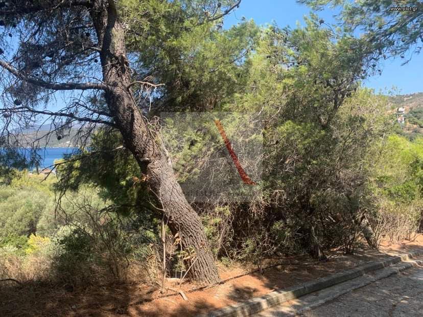 Οικόπεδο 512 τ.μ. προς πώληση, Άγιος Κωνσταντίνος Μαρμαρίου