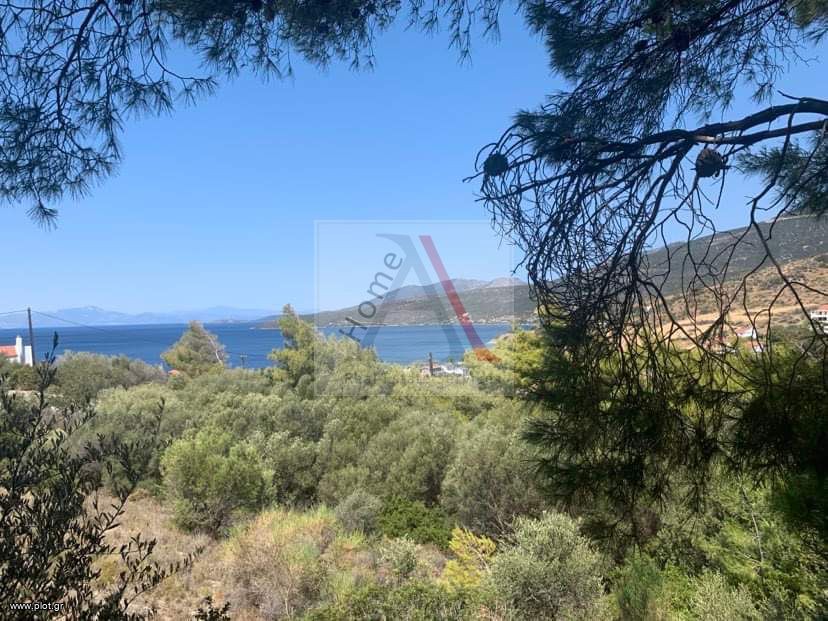 Οικόπεδο 512 τ.μ. προς πώληση, Άγιος Κωνσταντίνος Μαρμαρίου