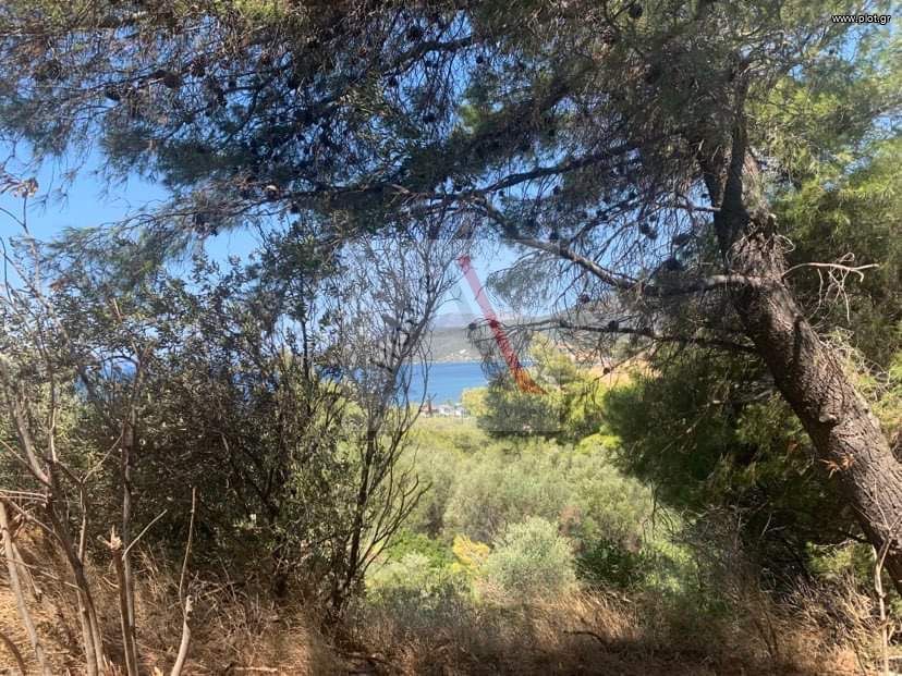 Οικόπεδο 512 τ.μ. προς πώληση, Άγιος Κωνσταντίνος Μαρμαρίου