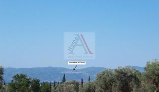 Οικόπεδο 8.099 τ.μ. για πώληση