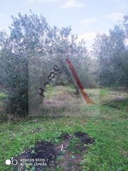 Οικόπεδο 2.809 τ.μ. για πώληση, Εύβοια, Αιδηψός-thumb-3