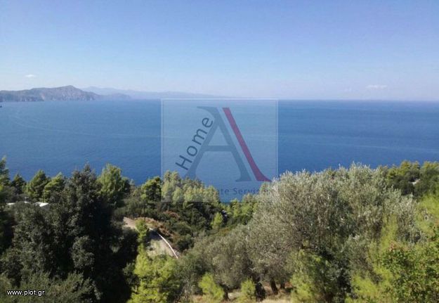 Parcel 8.000 sqm for sale, Evia, Kirea
