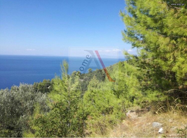 Αγροτεμάχια 8.000 τ.μ. προς πώληση, Σαρακίνικο Κηρέως