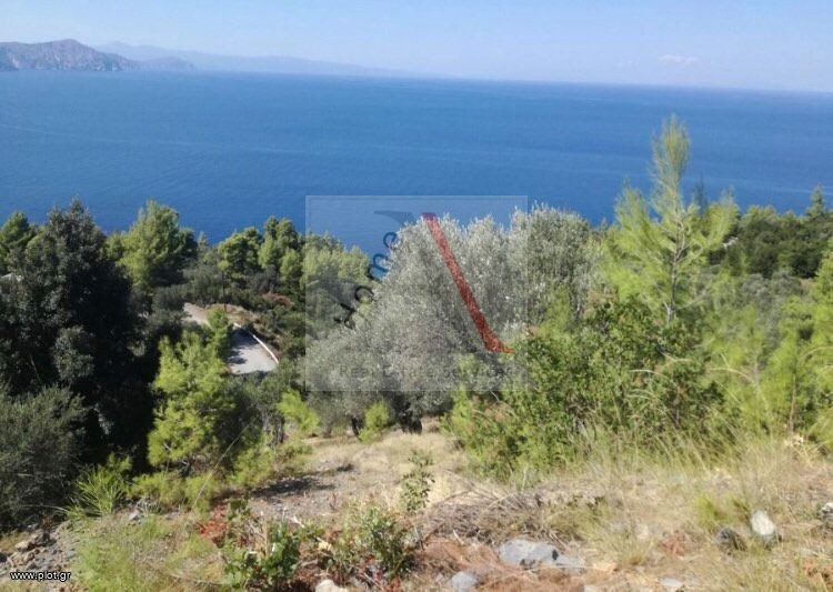 Αγροτεμάχια 8.000 τ.μ. προς πώληση, Σαρακίνικο Κηρέως