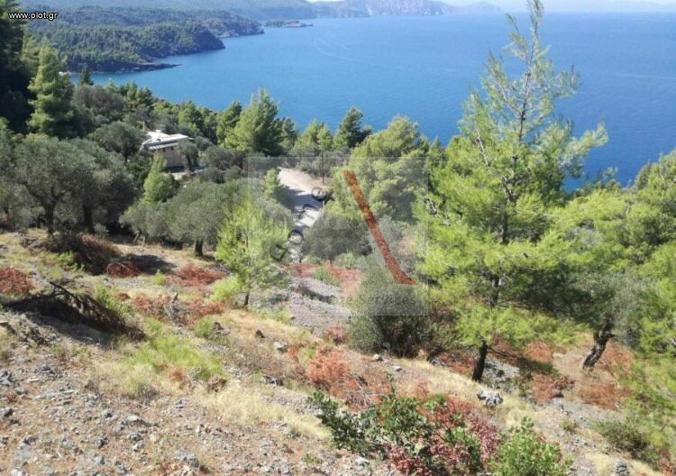 Αγροτεμάχια 8.000 τ.μ. προς πώληση, Σαρακίνικο Κηρέως