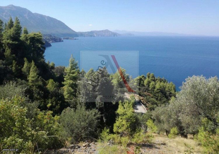 Αγροτεμάχια 8.000 τ.μ. προς πώληση, Σαρακίνικο Κηρέως