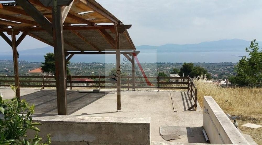 Αγροτεμάχια 2.000 τ.μ. προς πώληση, Άγιοι Ασώματοι Ερέτριας
