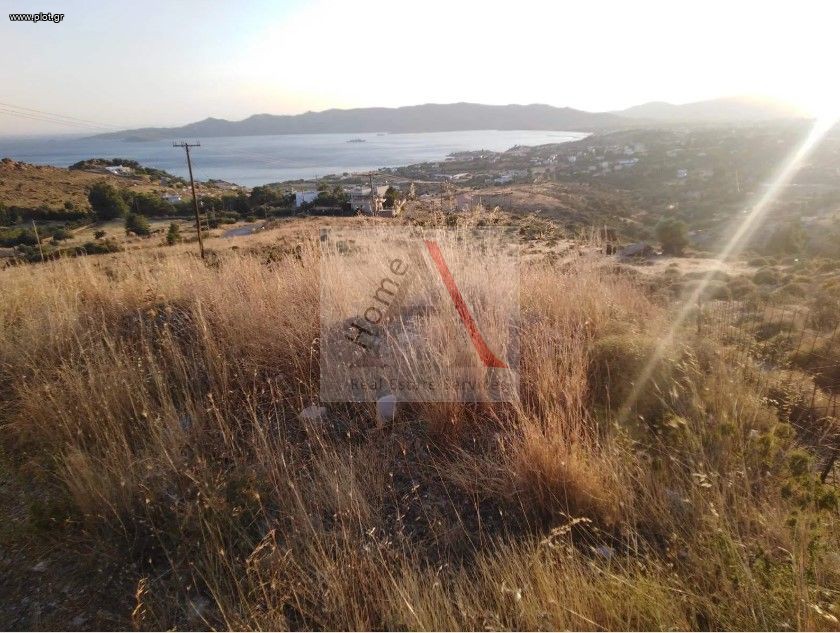 Οικόπεδο 4.500 τ.μ. προς πώληση, Μετόχι Καρύστου