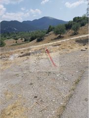 Οικόπεδο 600 τ.μ. για πώληση, Αρκαδία, Βιτίνα-thumb-3