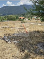 Οικόπεδο 600 τ.μ. για πώληση, Αρκαδία, Βιτίνα-thumb-4