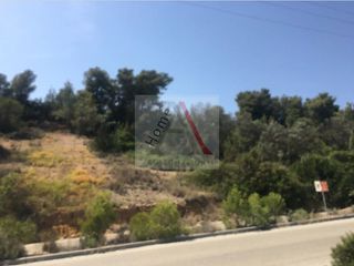 Οικόπεδο 818 τ.μ. για πώληση