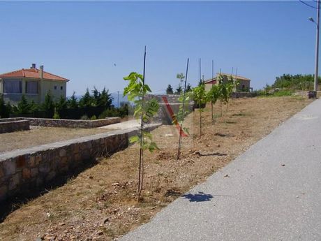 Οικόπεδο 600 τ.μ. προς πώληση