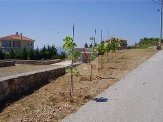 Οικόπεδο 600 τ.μ. για πώληση