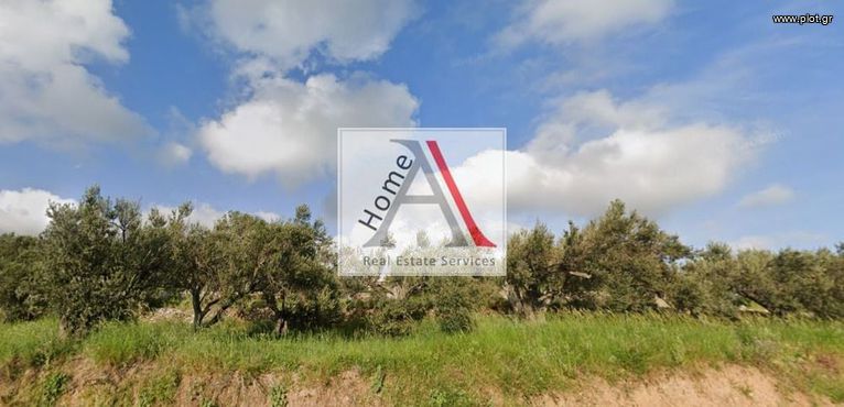 Land plot 300 sqm for sale, Rest Of Attica, Oropos
