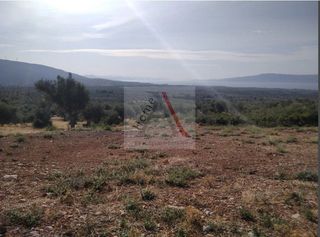 Αγροτεμάχια 5.004 τ.μ. για πώληση