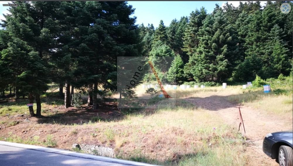 Οικόπεδο 4.650 τ.μ. προς πώληση, Βίλια Φενεού