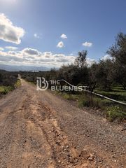Αγροτεμάχια 5.270 τ.μ. για πώληση