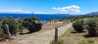 Αγροτεμάχια 3.035 τ.μ. για πώληση, Ζάκυνθος, Ελάτιο-thumb-6