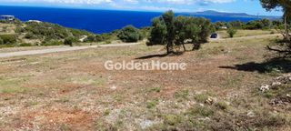 Αγροτεμάχια 3.035 τ.μ. για πώληση