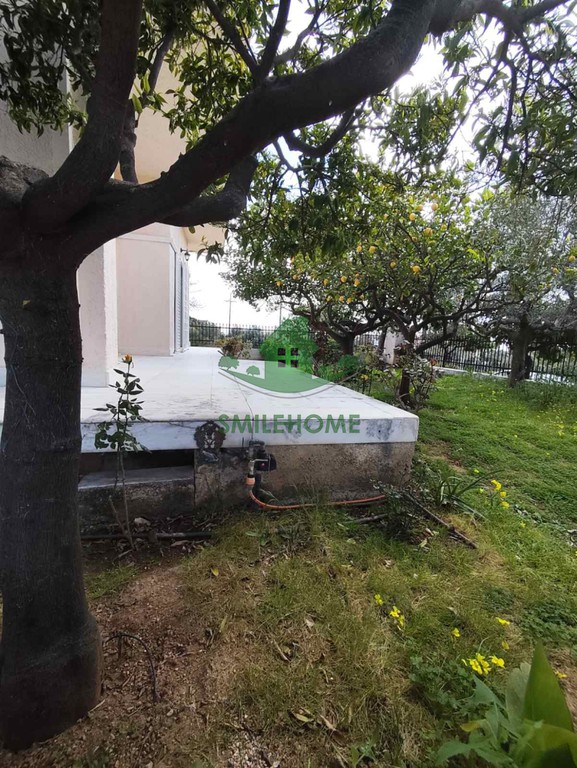 Μονοκατοικία 95 τ.μ. πρός ενοικίαση, Αθήνα - Ανατολικά Προάστια, Αρτέμιδα (λούτσα)