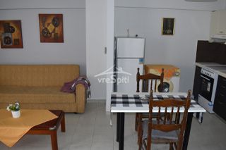 Διαμέρισμα 46 τ.μ. για ενοικίαση, Ν. Ιωαννίνων, Ιωάννινα-thumb-5