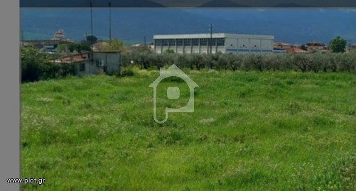 Οικόπεδο 3.000 τ.μ. πρός πώληση, Μαγνησία, Αλμυρός