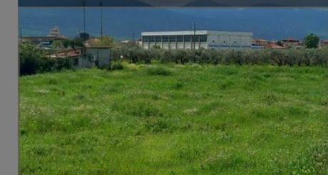 Land plot 3.000 sqm for sale