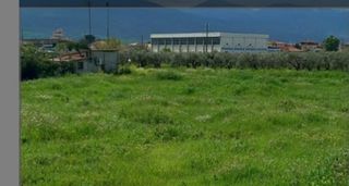 Οικόπεδο 3.000 τ.μ. για πώληση