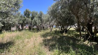 Οικόπεδο 937,60 τ.μ. για πώληση