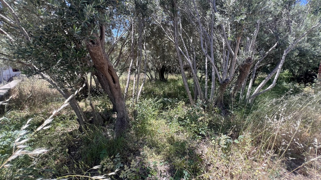 Οικόπεδο 937,60 τ.μ. πρός πώληση, Ν. Χίου, Χίος