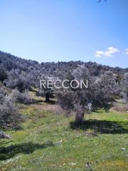 Αγροτεμάχια 5.233 τ.μ. προς πώληση, Κέντρο Αμαρύνθου-thumb-1
