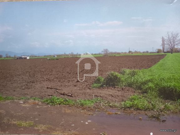 Land plot 4.007 sqm for sale, Magnesia, Almiros