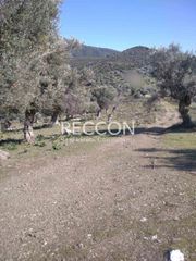 Αγροτεμάχια 3.700 τ.μ. προς πώληση, Γυμνό Αμαρύνθου-thumb-1
