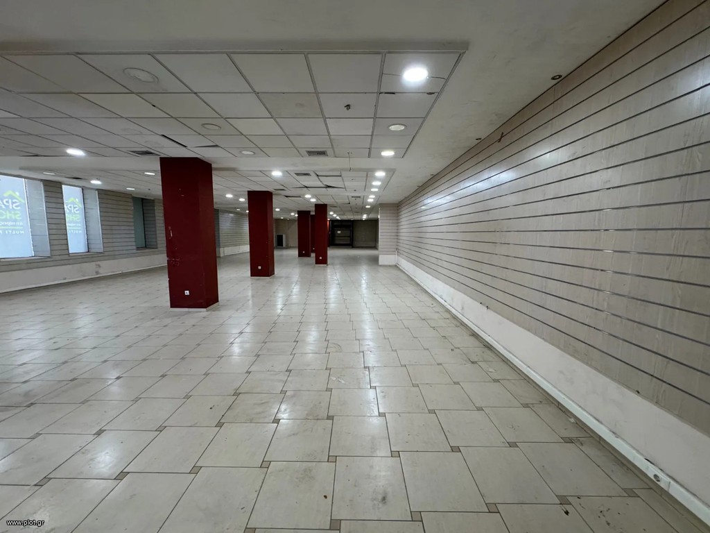 Επιχειρηματικό κτίριο 1.100 τ.μ. προς ενοικίαση, Βουδ