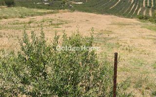 Οικόπεδο 3.250 τ.μ. για πώληση