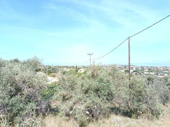 Land plot 3.395 sqm for sale, Argosaronikos Islands, Aegina