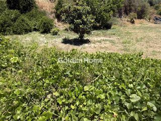 Οικόπεδο 1.370 τ.μ. για πώληση