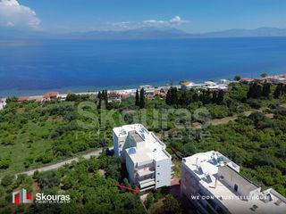Διαμέρισμα 37 τ.μ. για πώληση, Κορινθία, Ευρωστίνη-thumb-2