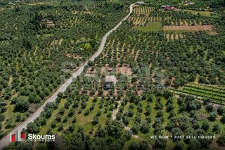 Μονοκατοικία 180 τ.μ. για πώληση, Μεσσηνία, Ανδρούσα-thumb-22